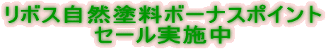 ���{�X���R�h���{�[�i�X�|�C���g �Z�[�����{��