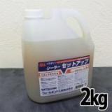 パラダインシーラーセットアップ 　2kg