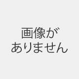 アレスクールメタルプライマー　16kgセット