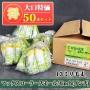 マックスローラー　スモール　13ミリ毛丈/4inch(インチ)　50本入り特価　【送料無料】