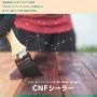 SW-36 CNFシーラー　16L　屋外木部用高耐久下塗り剤