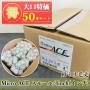 Micro ACE　スモールローラー　13ミリ毛丈/4inch(インチ) 50本入り特価 送料無料