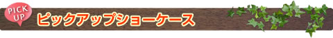 ピックアップショーケース
