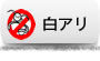 白アリ