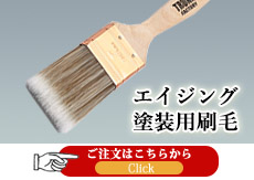 �G�C�W���O�h���p����