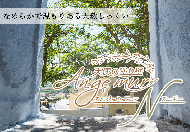 �A���W���~���[�� �k�[�{�[