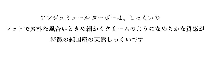 �A���W���~���[�� �k�[�{�[