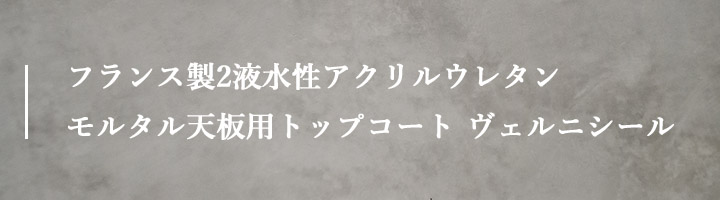 �����^���V�p�g�b�v�R�[�g ���F���j�V�[��